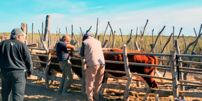 Visita a Establecimientos Ganaderos